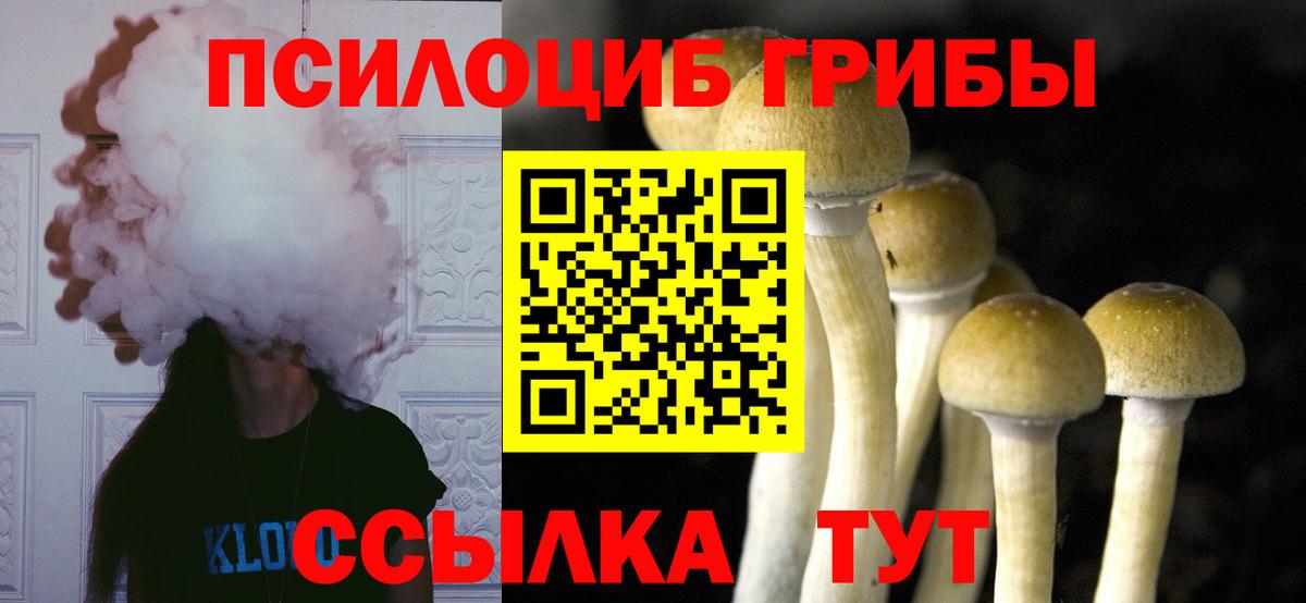 Урюпинск  Галлюциногенные грибы ЛСД  Вход с VPN  Галлюциногенные грибы ЛСД 